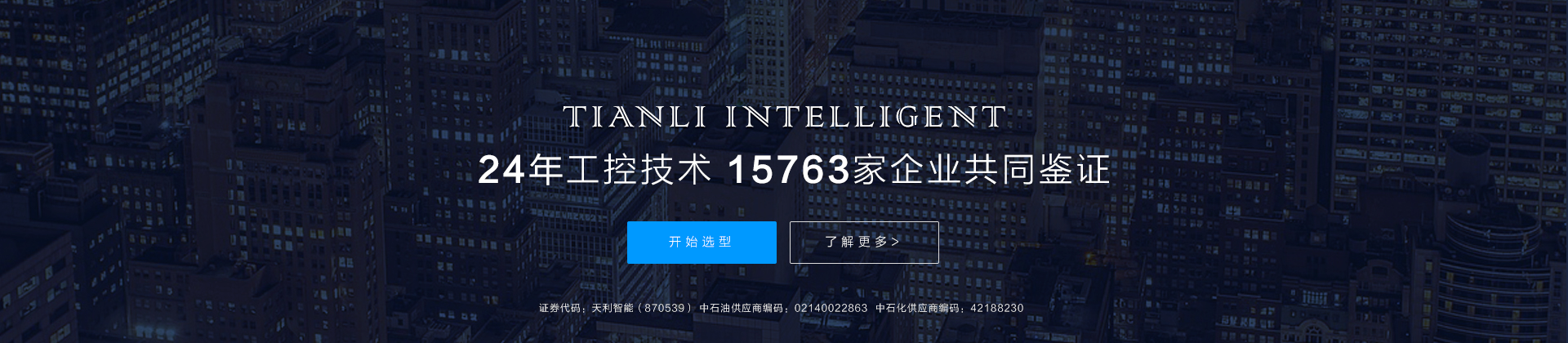 吊裝帶|扁平吊裝帶|拴緊器|柔性吊裝帶